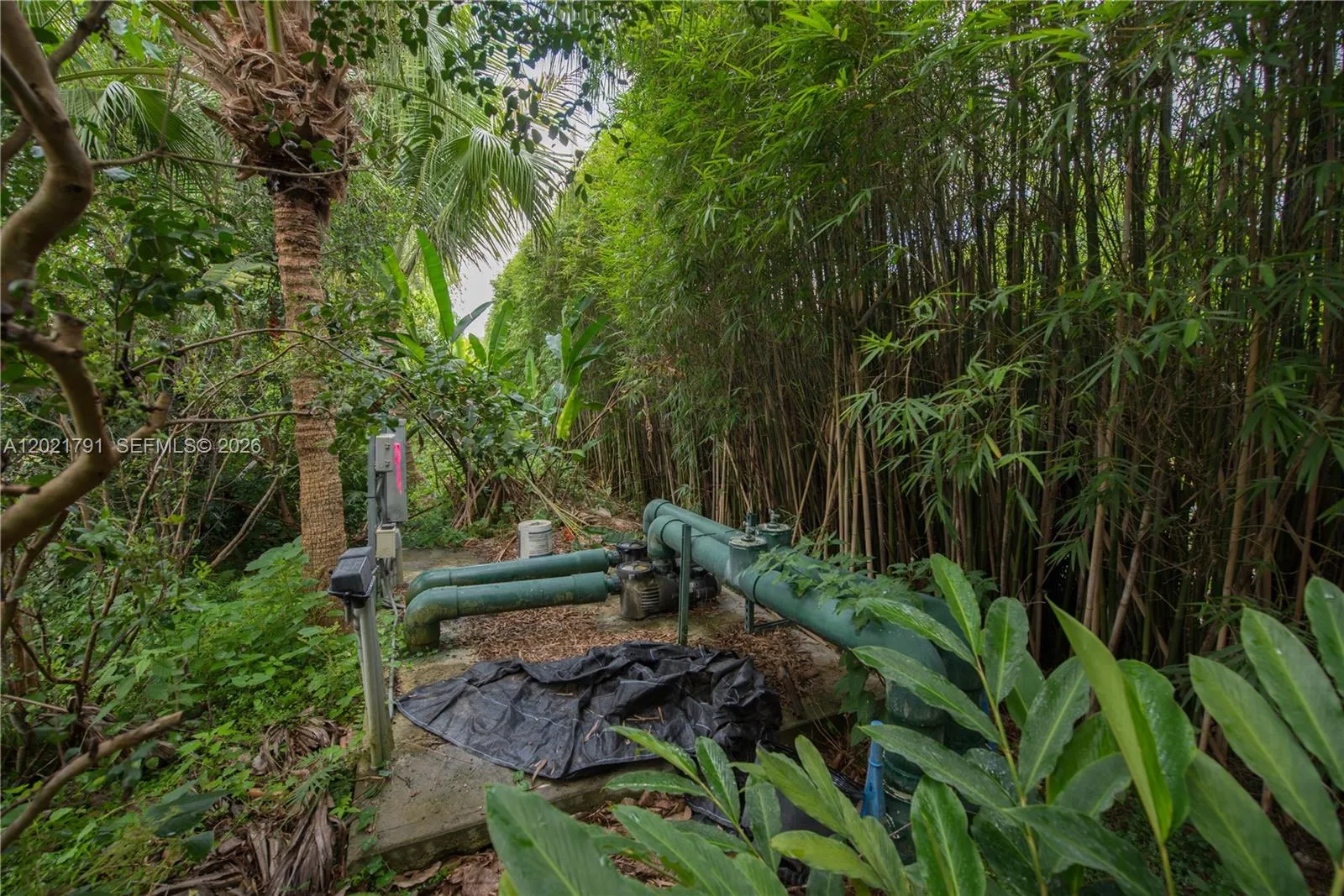Property photo 41