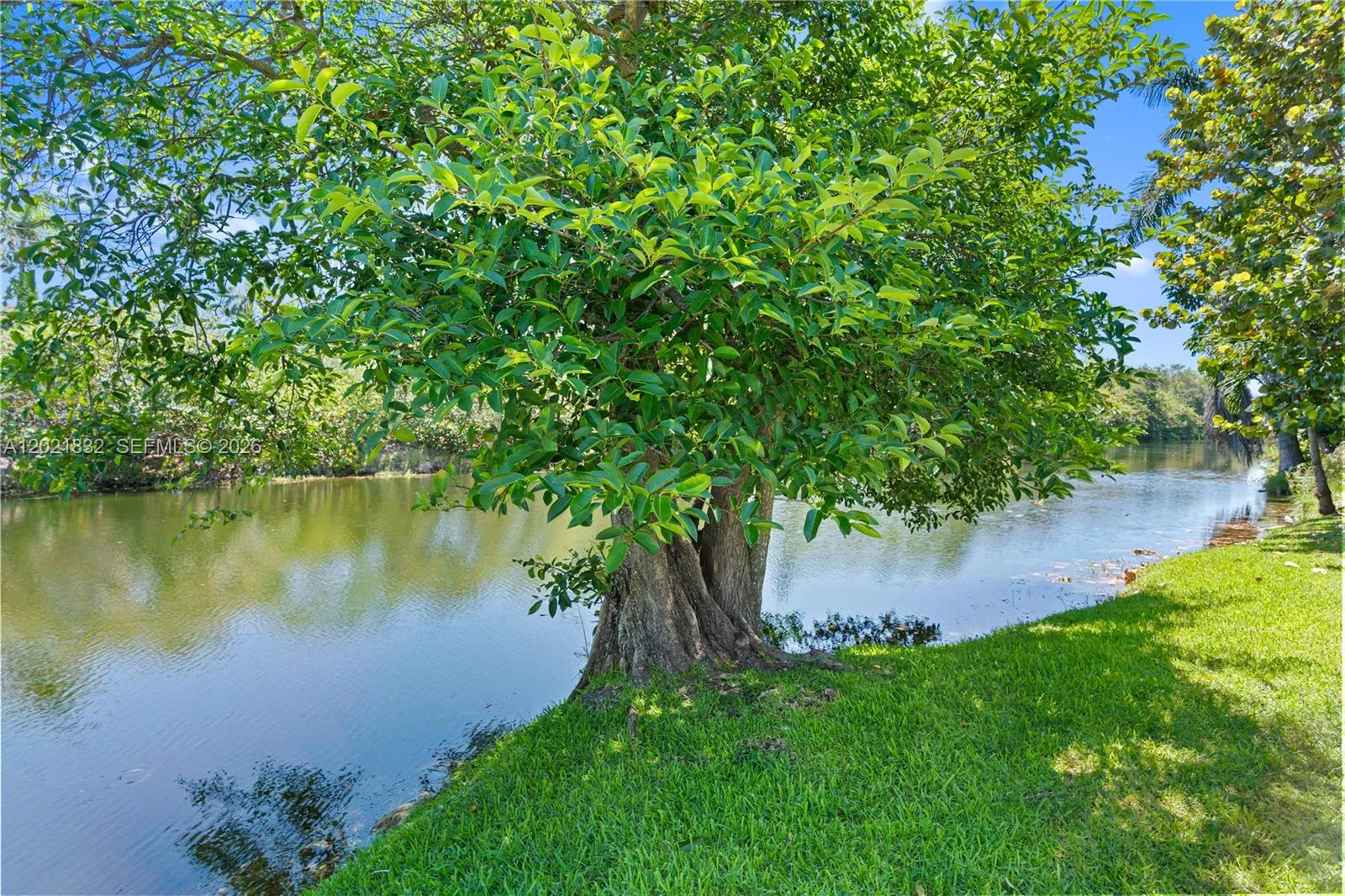 Property photo 68