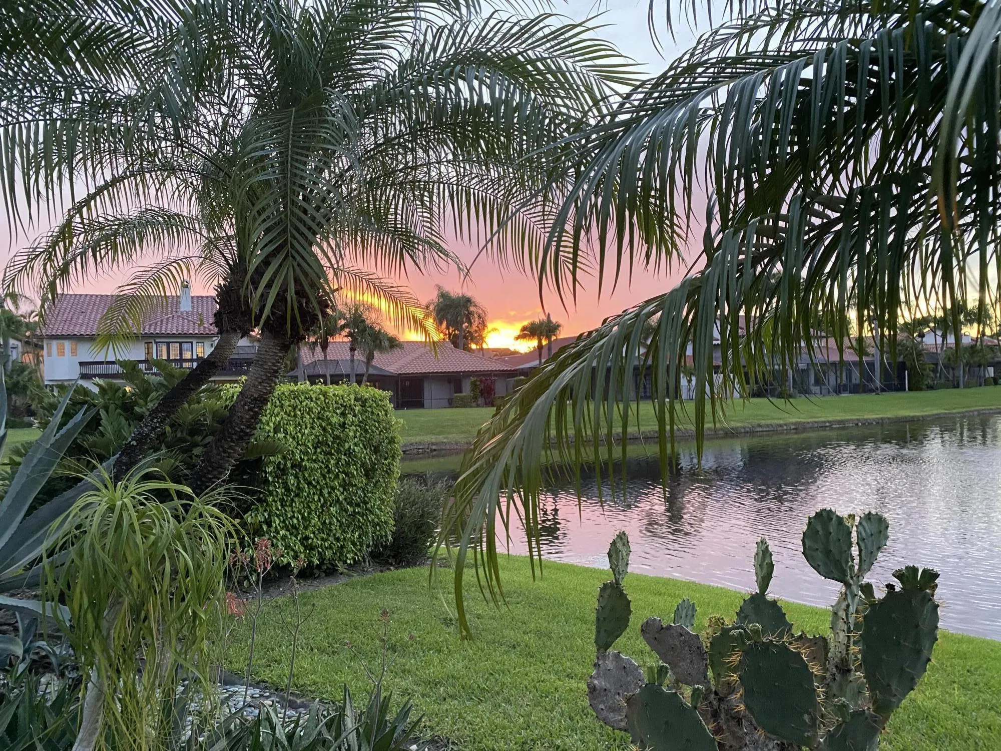 View from patio