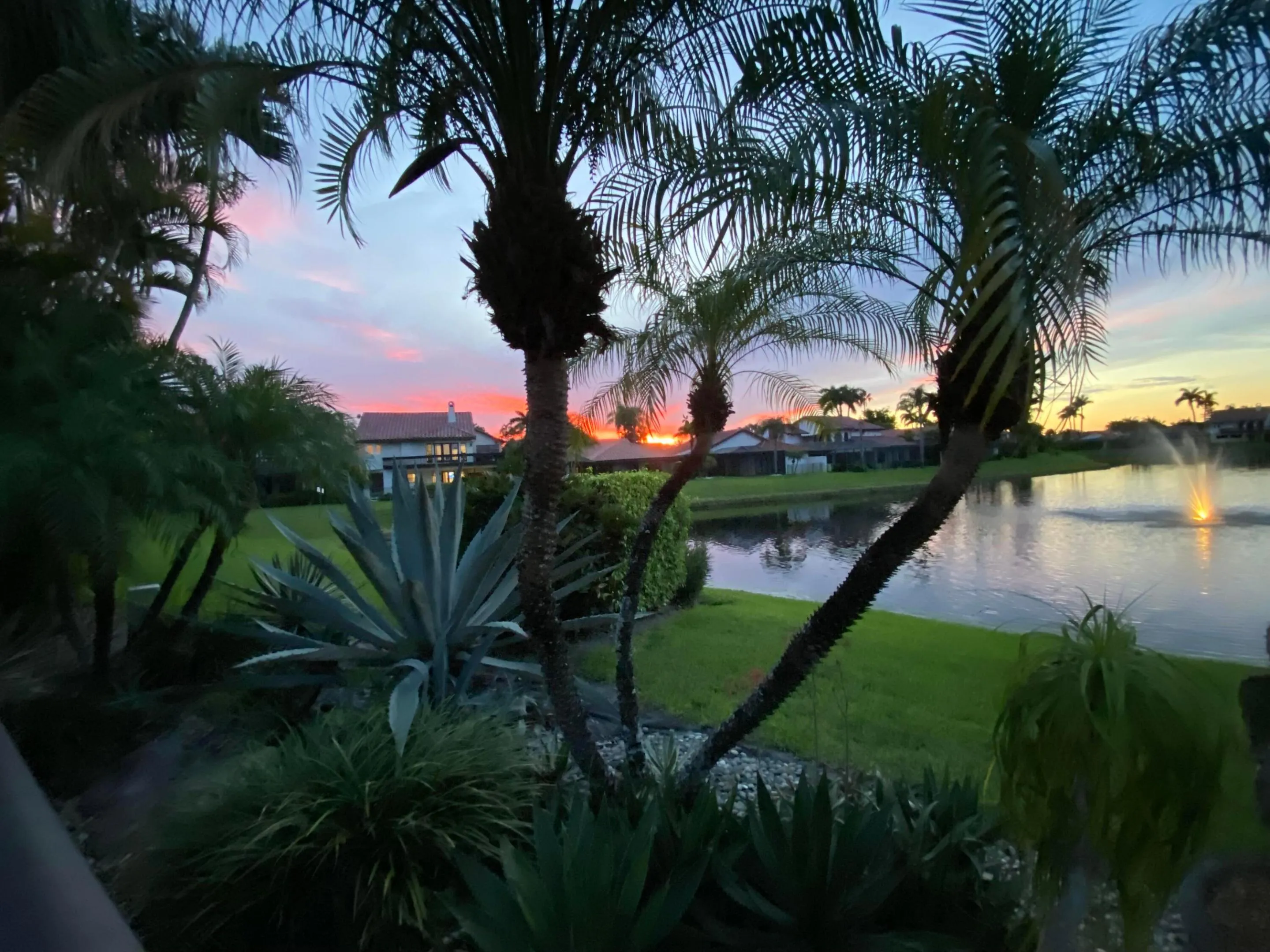 View from patio
