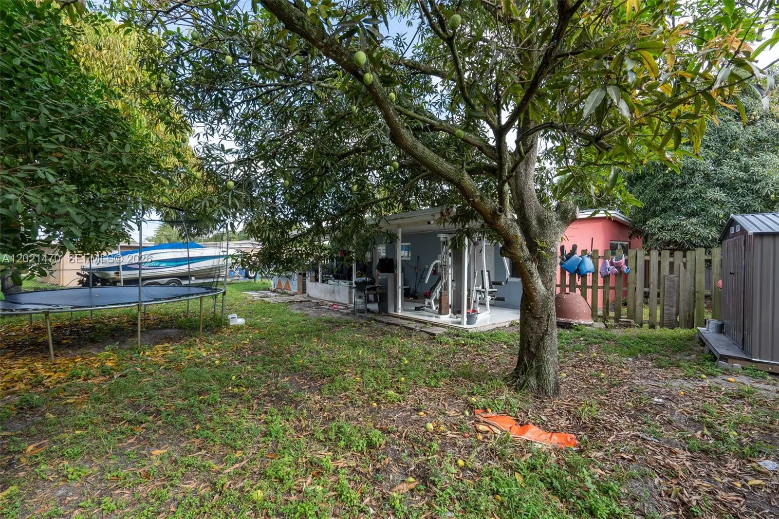 Back Yard