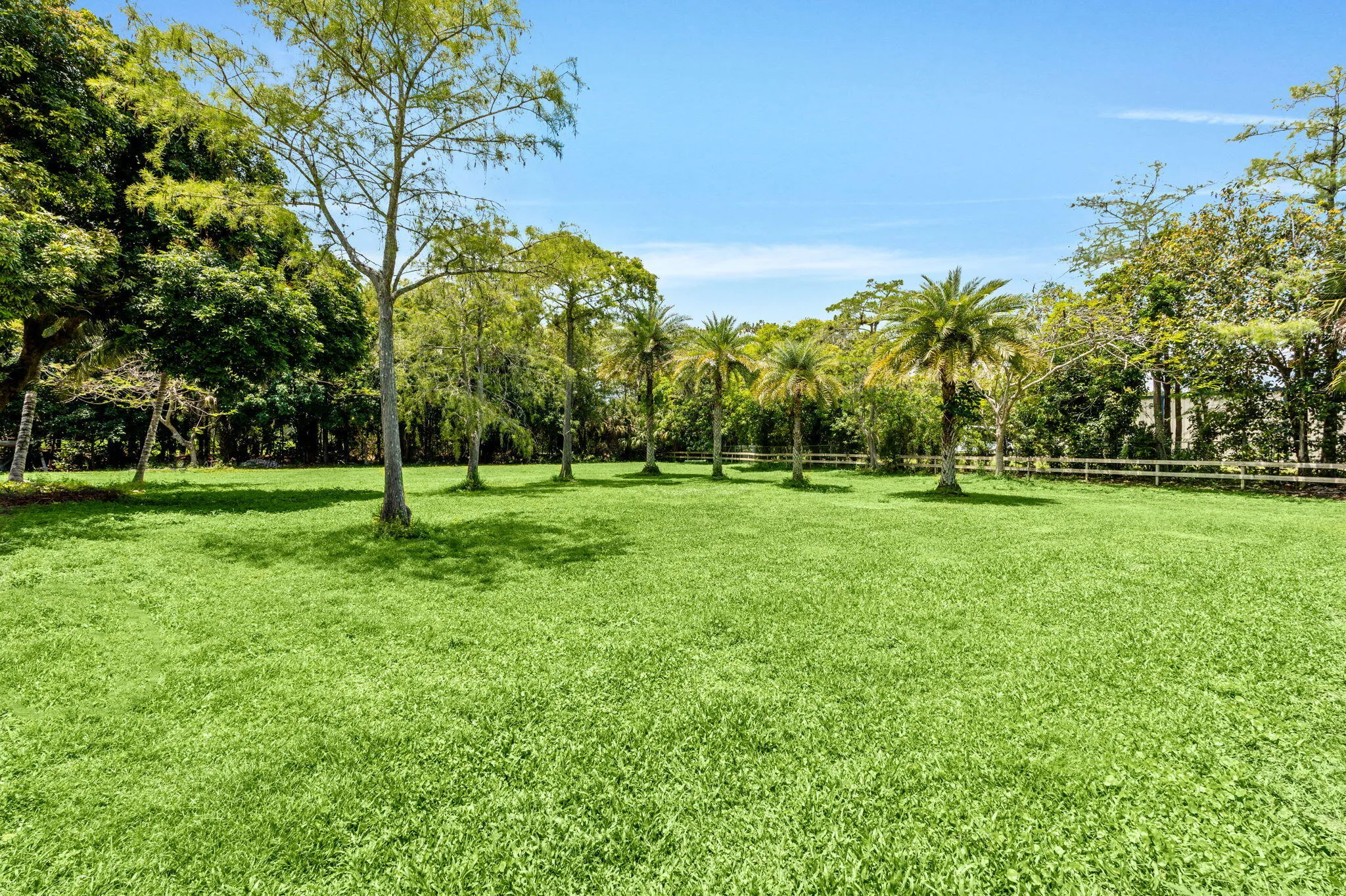 38-web-or-mls-A7406547