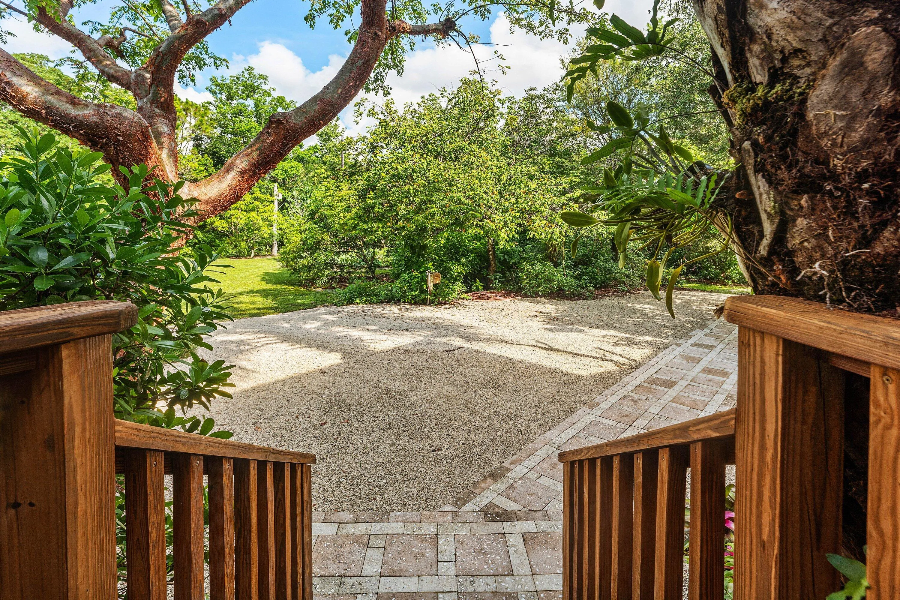 Back yard