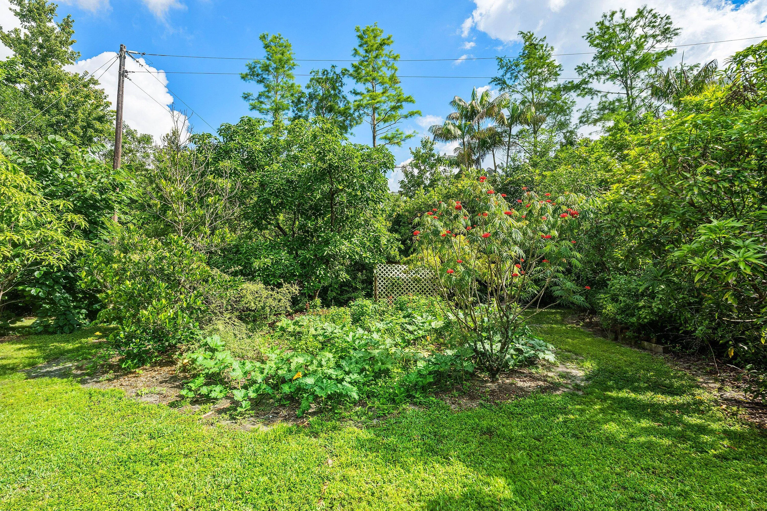 Property photo 71