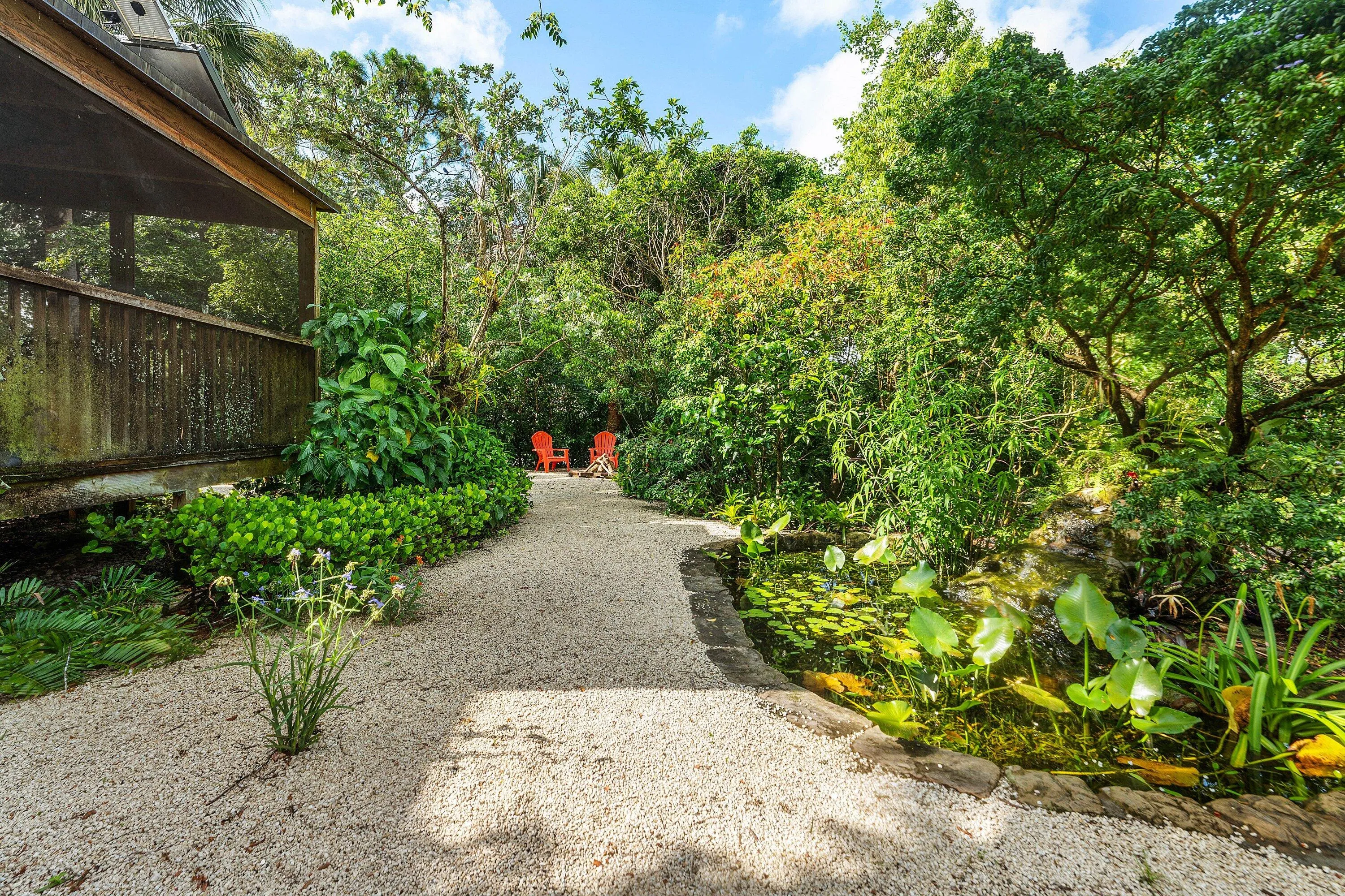 back yard
