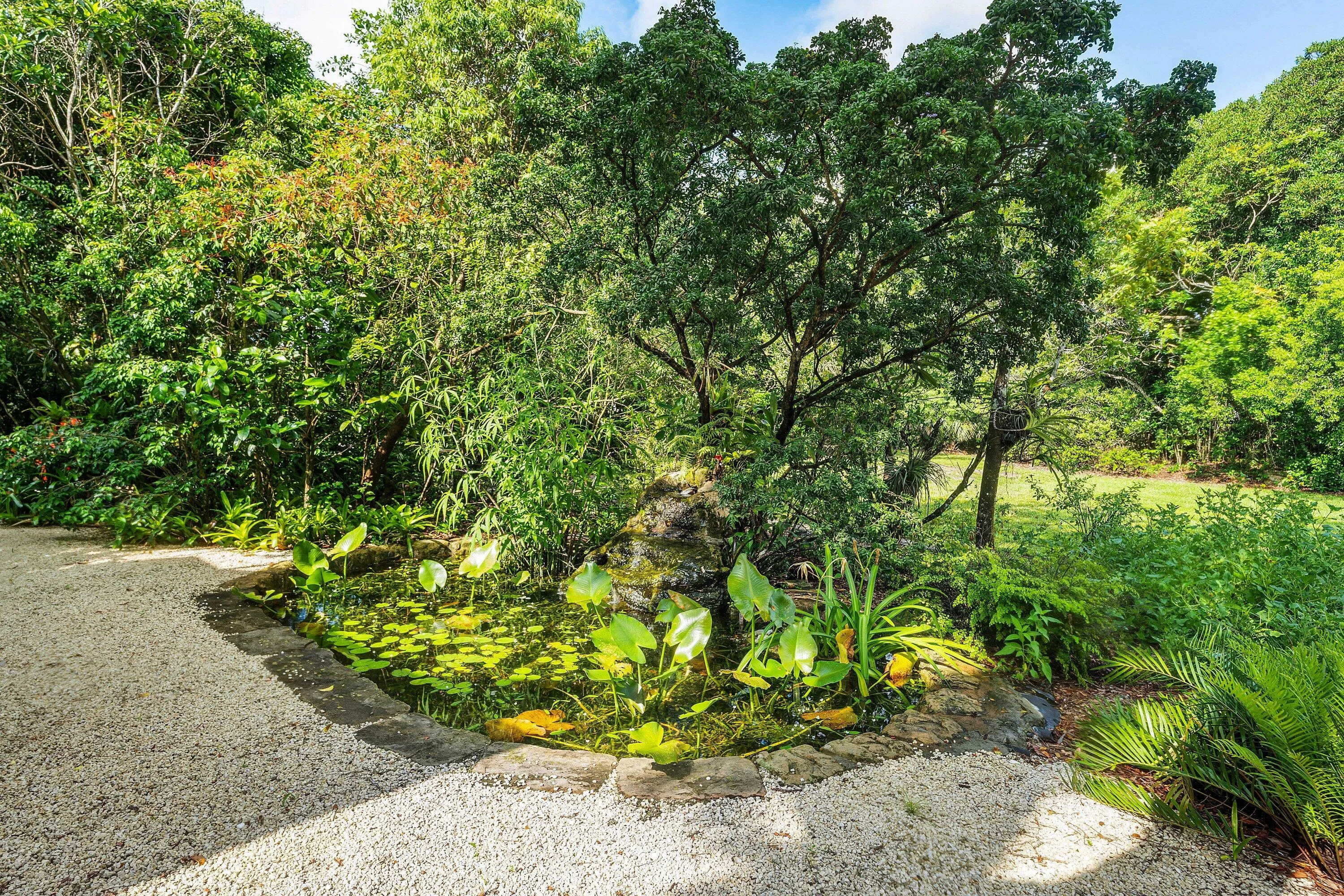 Native Florida Landscaping
