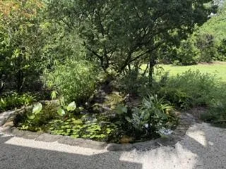 pond/waterfall