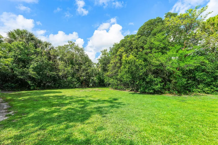 Back yard