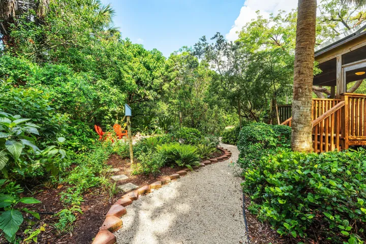 Back yard