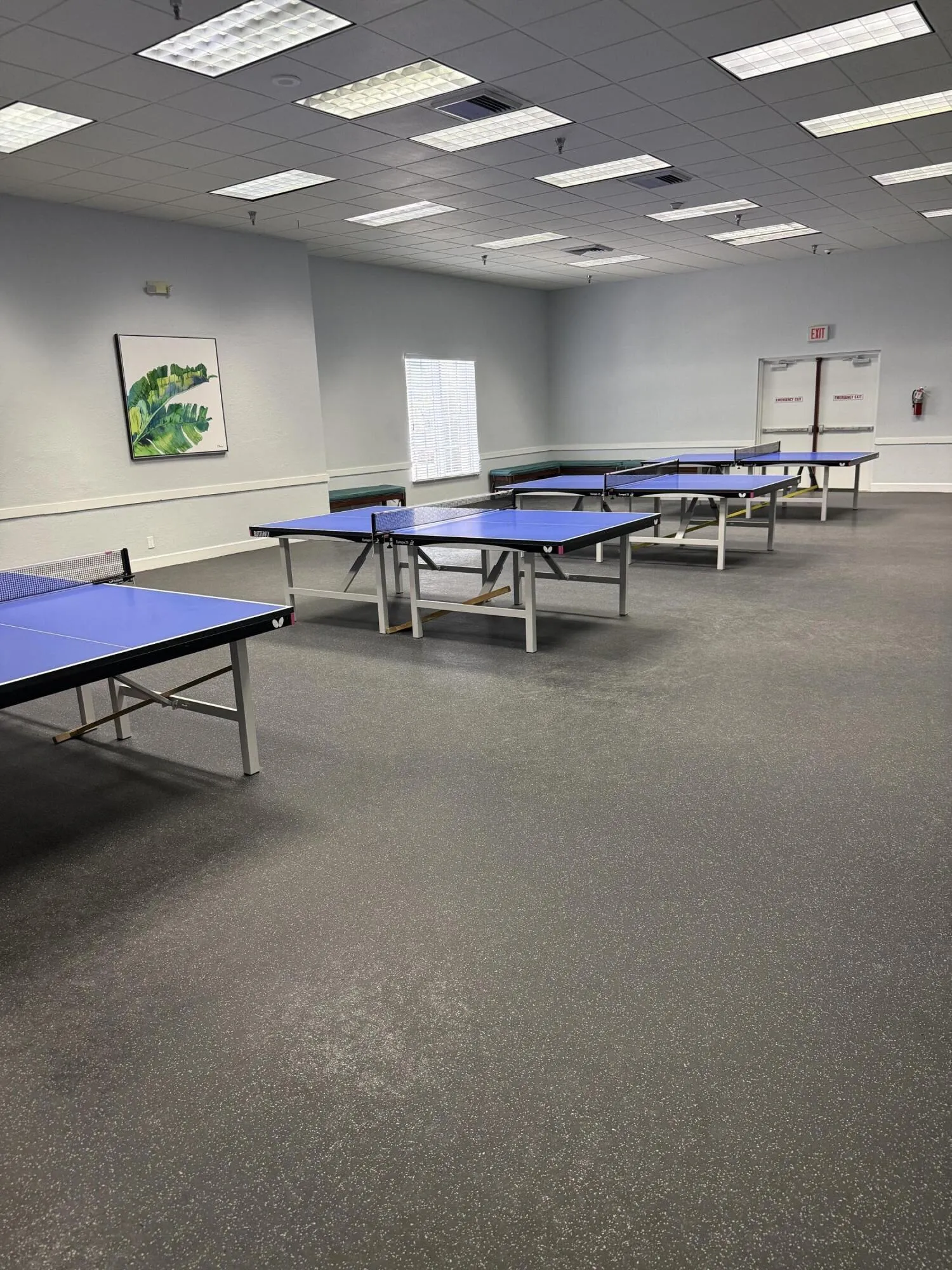 Indoor Table Tennis