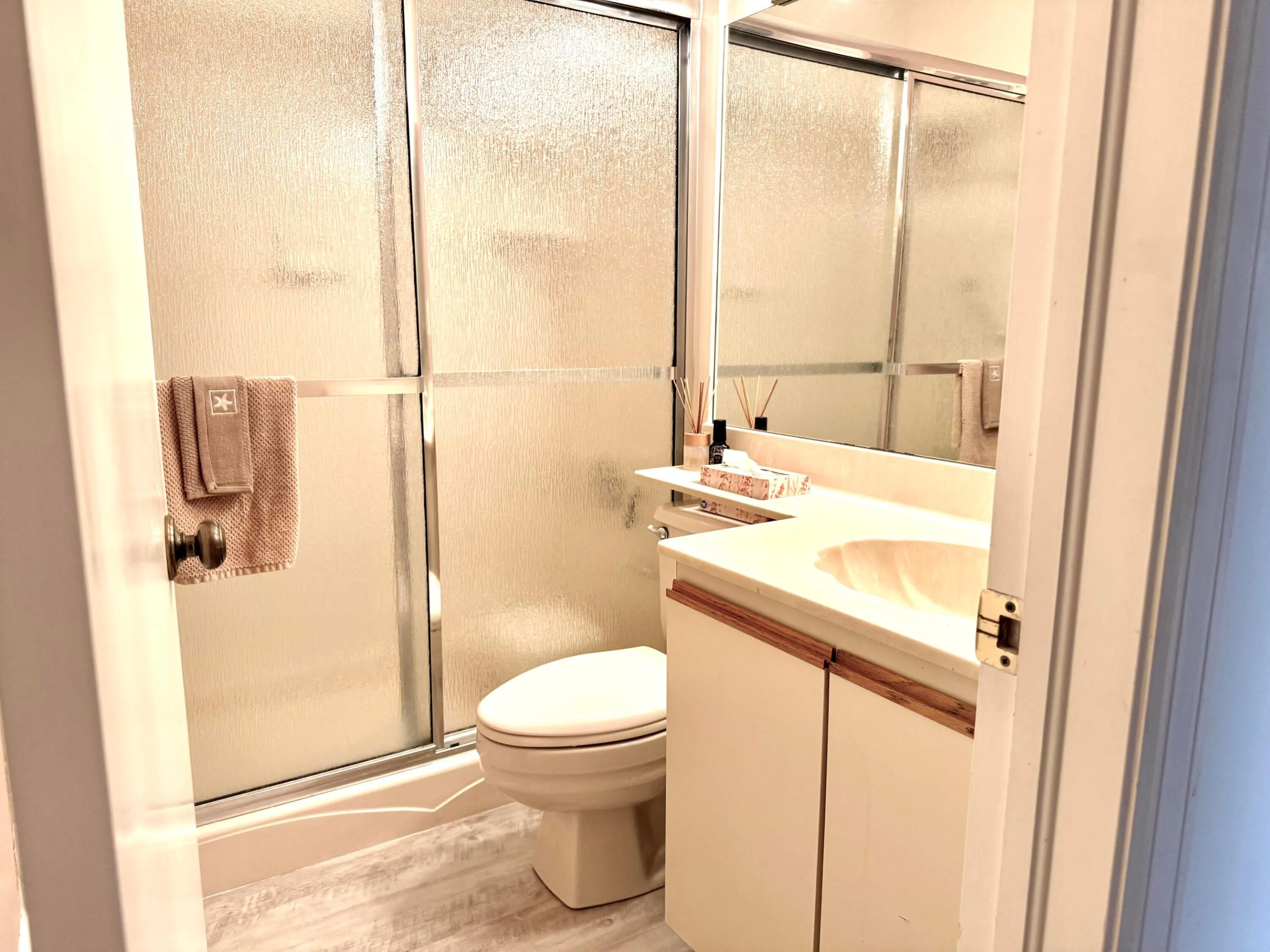 Guest Bath IMG_7161