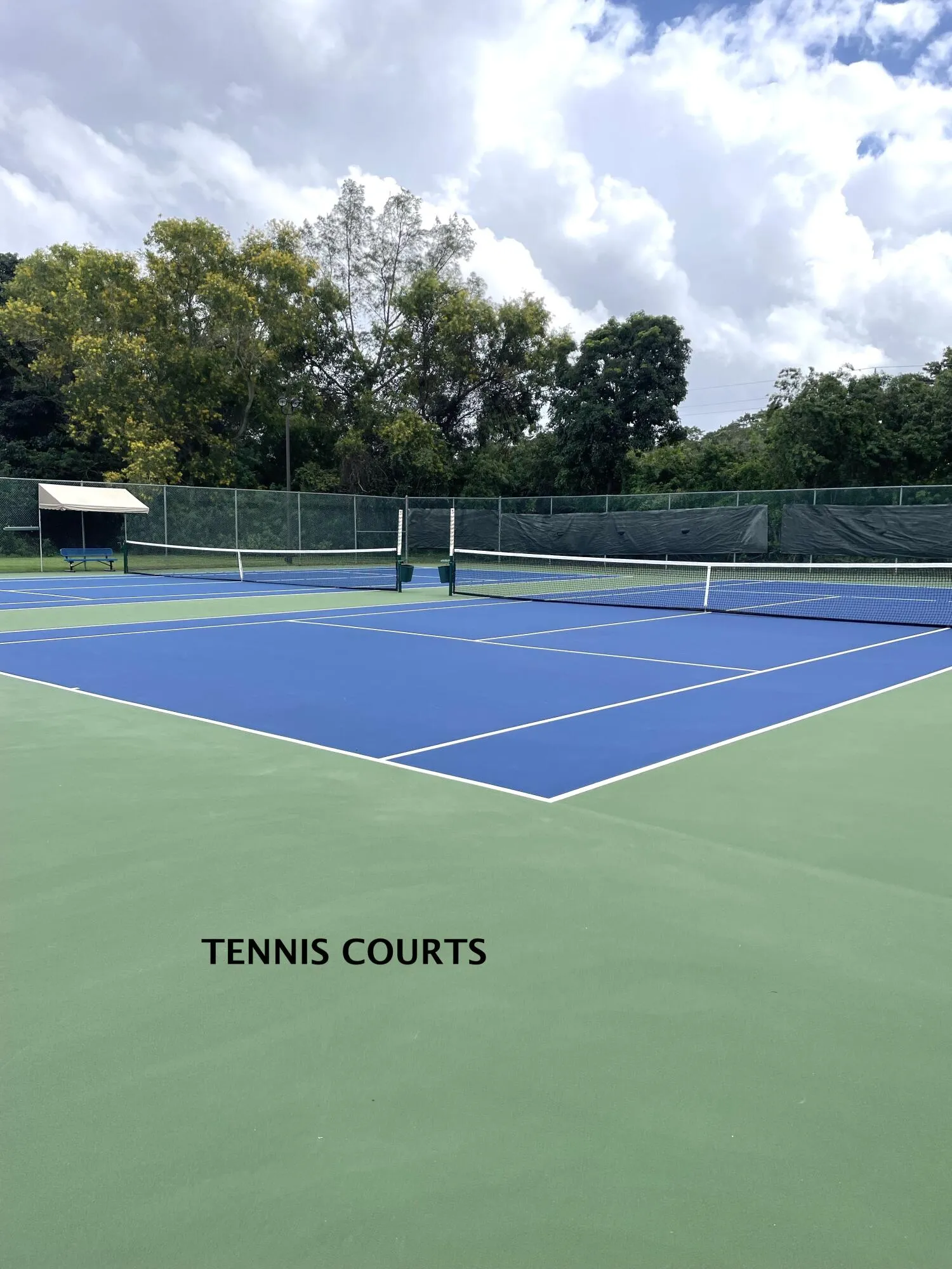 Tennis courts IMG_1929