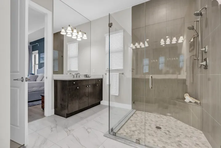 Primary Shower