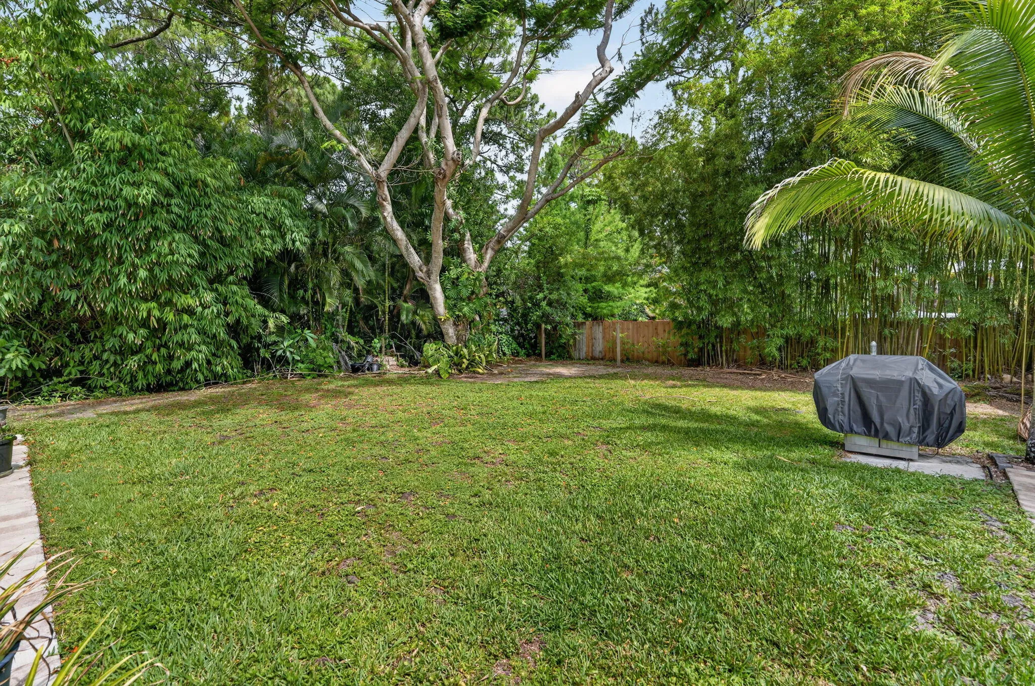 Yard