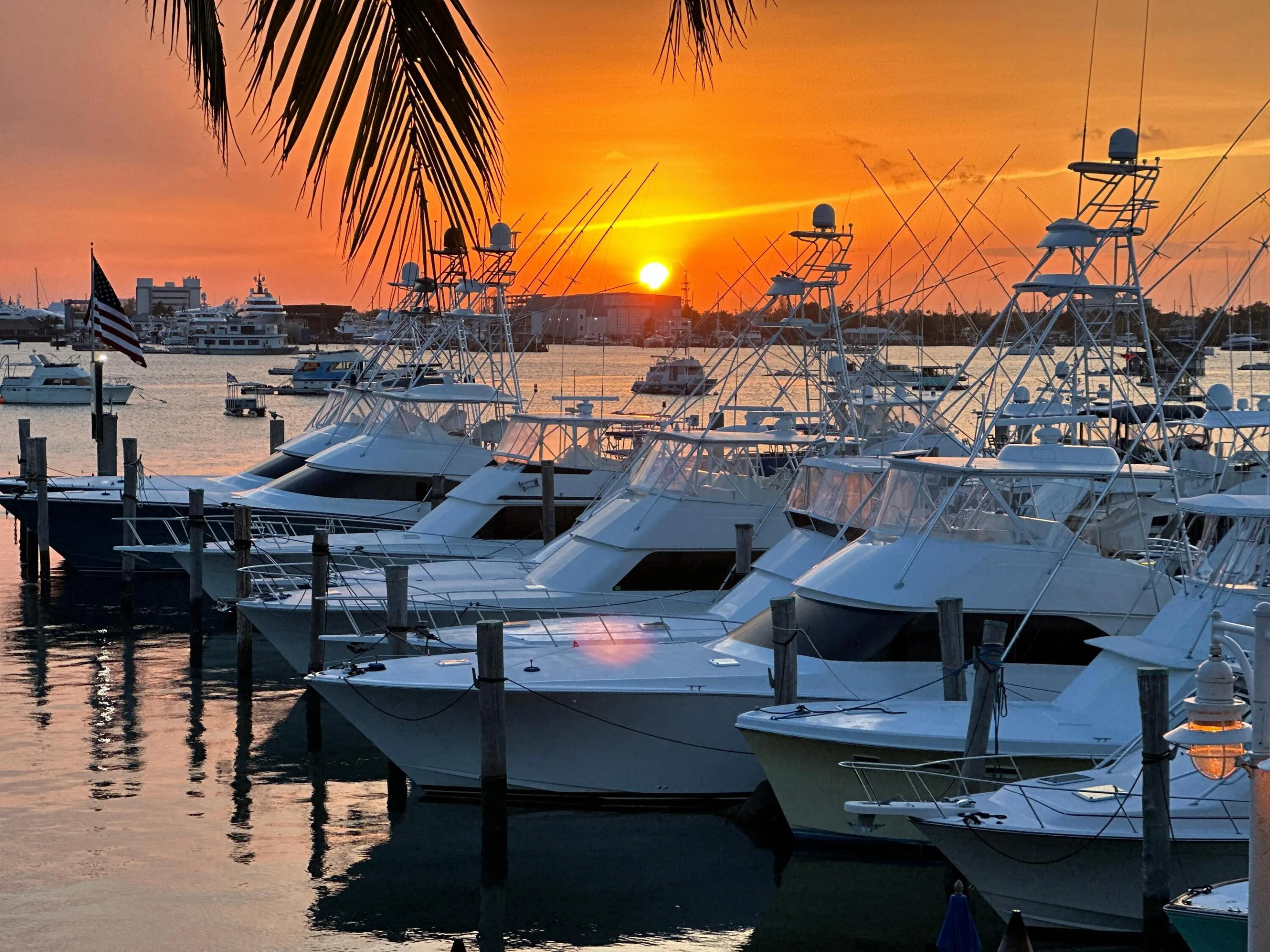 Sail Fish Marina and Docks