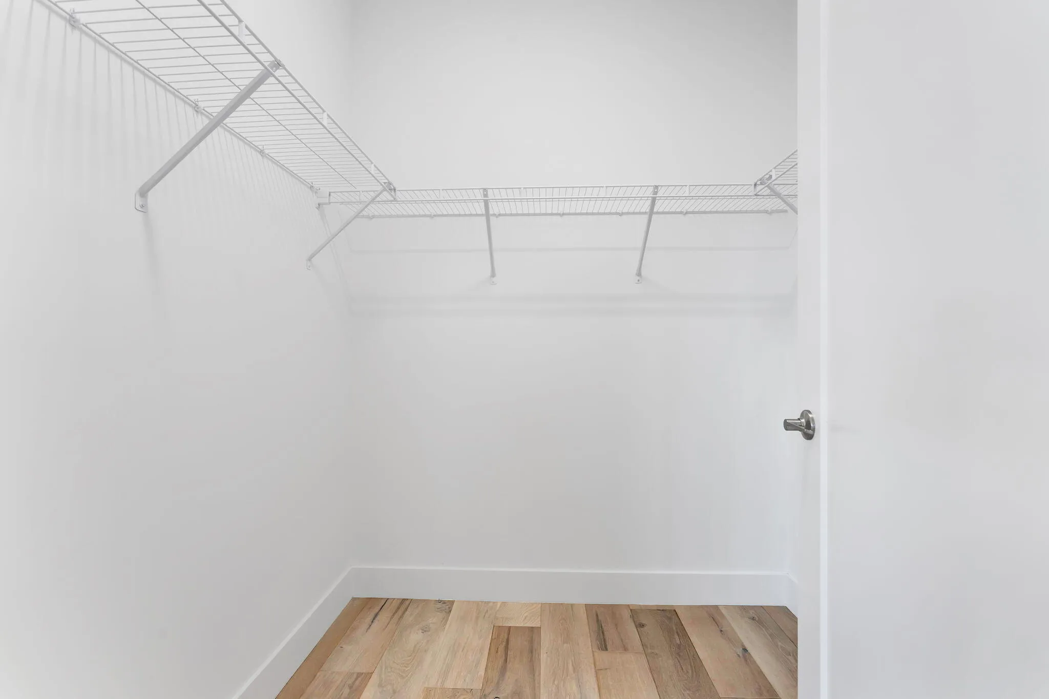 52-web-or-mls-DSC01091