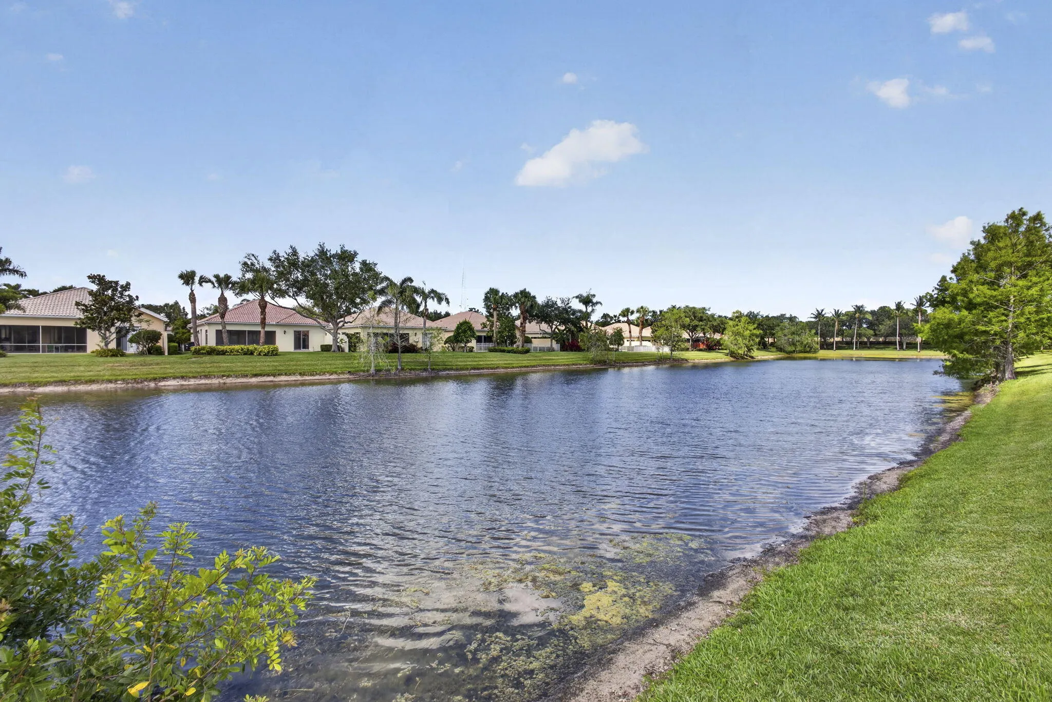 54-web-or-mls-BS1A2327