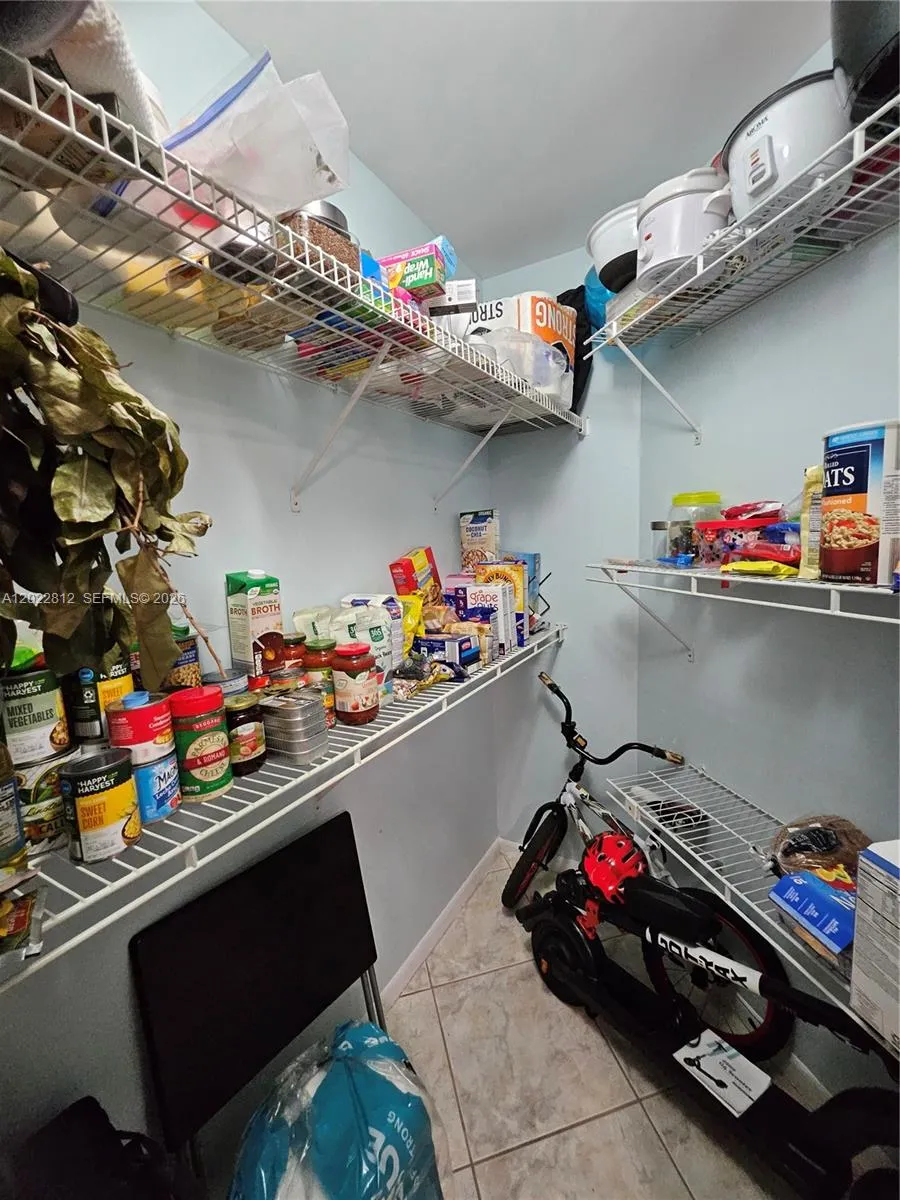 Huge walk-in Pantry Closet