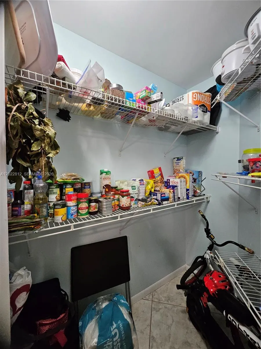 Huge walk-in Pantry Closet