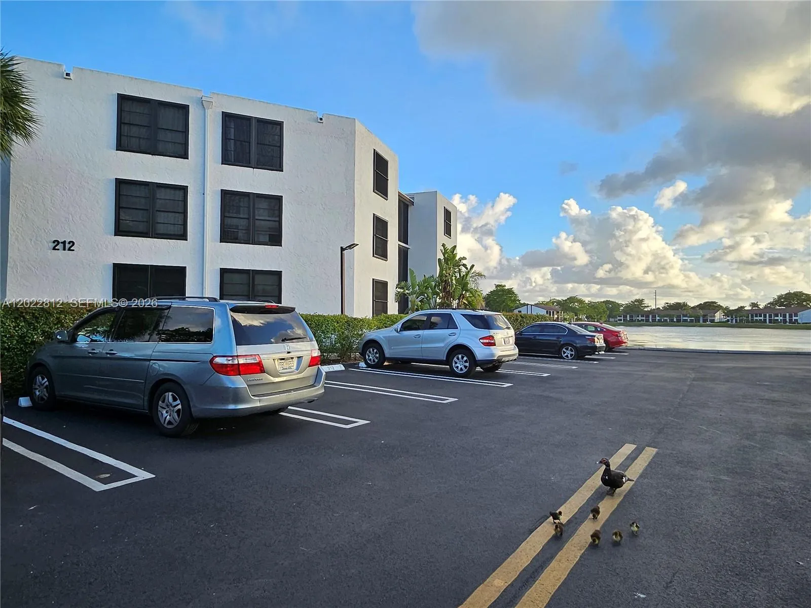 Plenty of Guest Parking