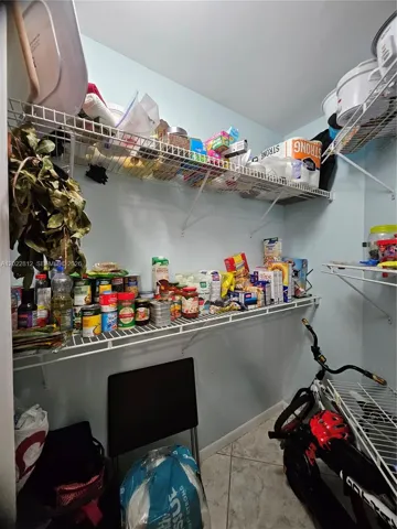 Huge walk-in Pantry Closet