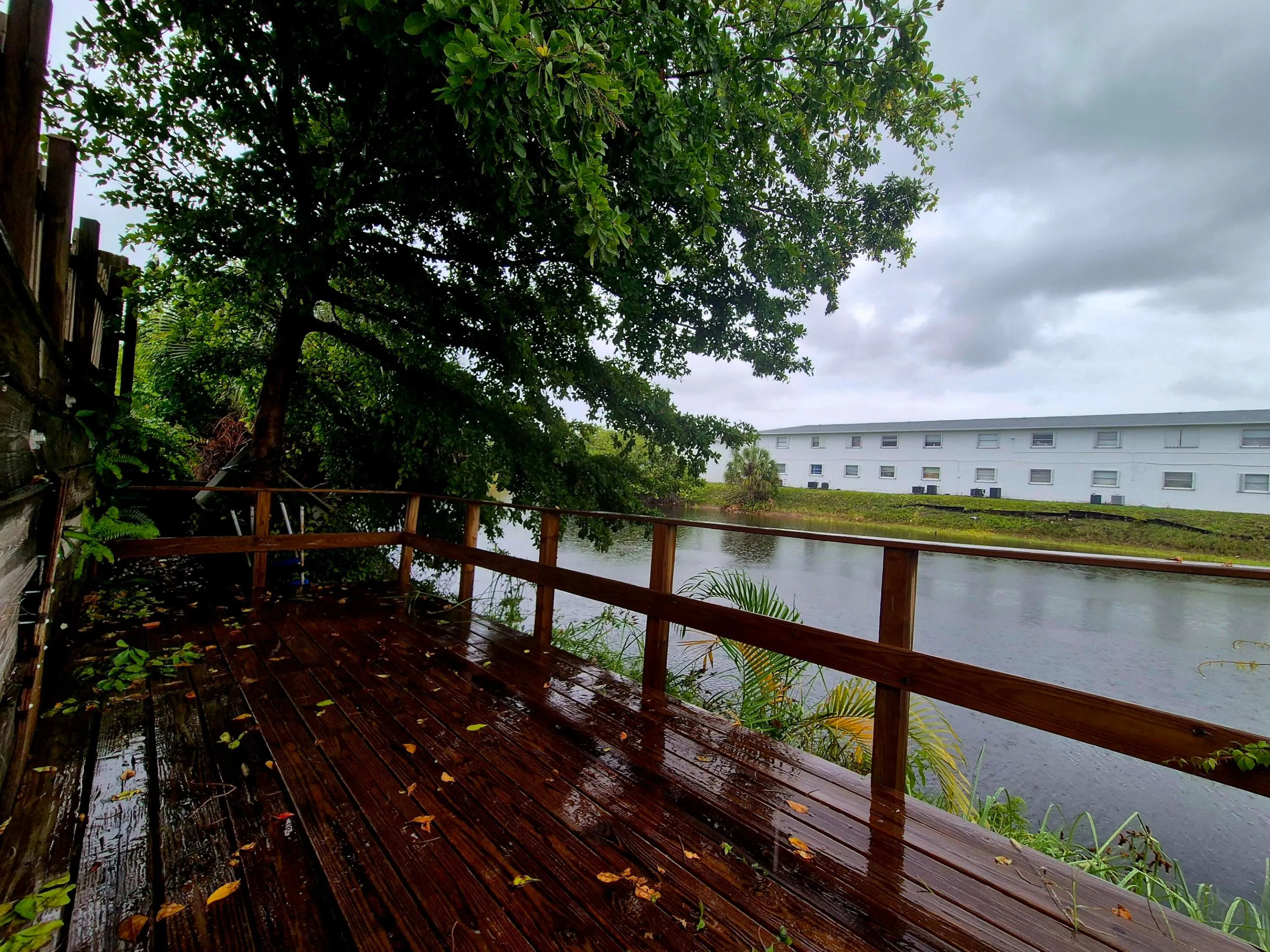 Deck view