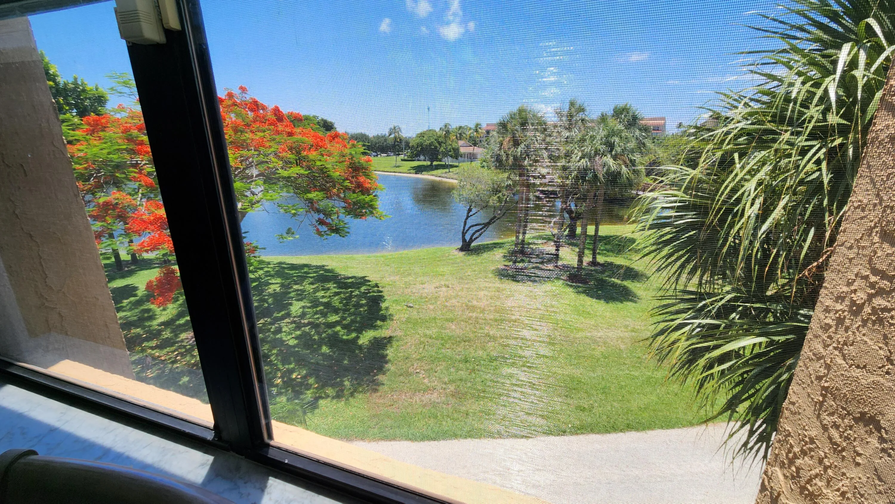 view