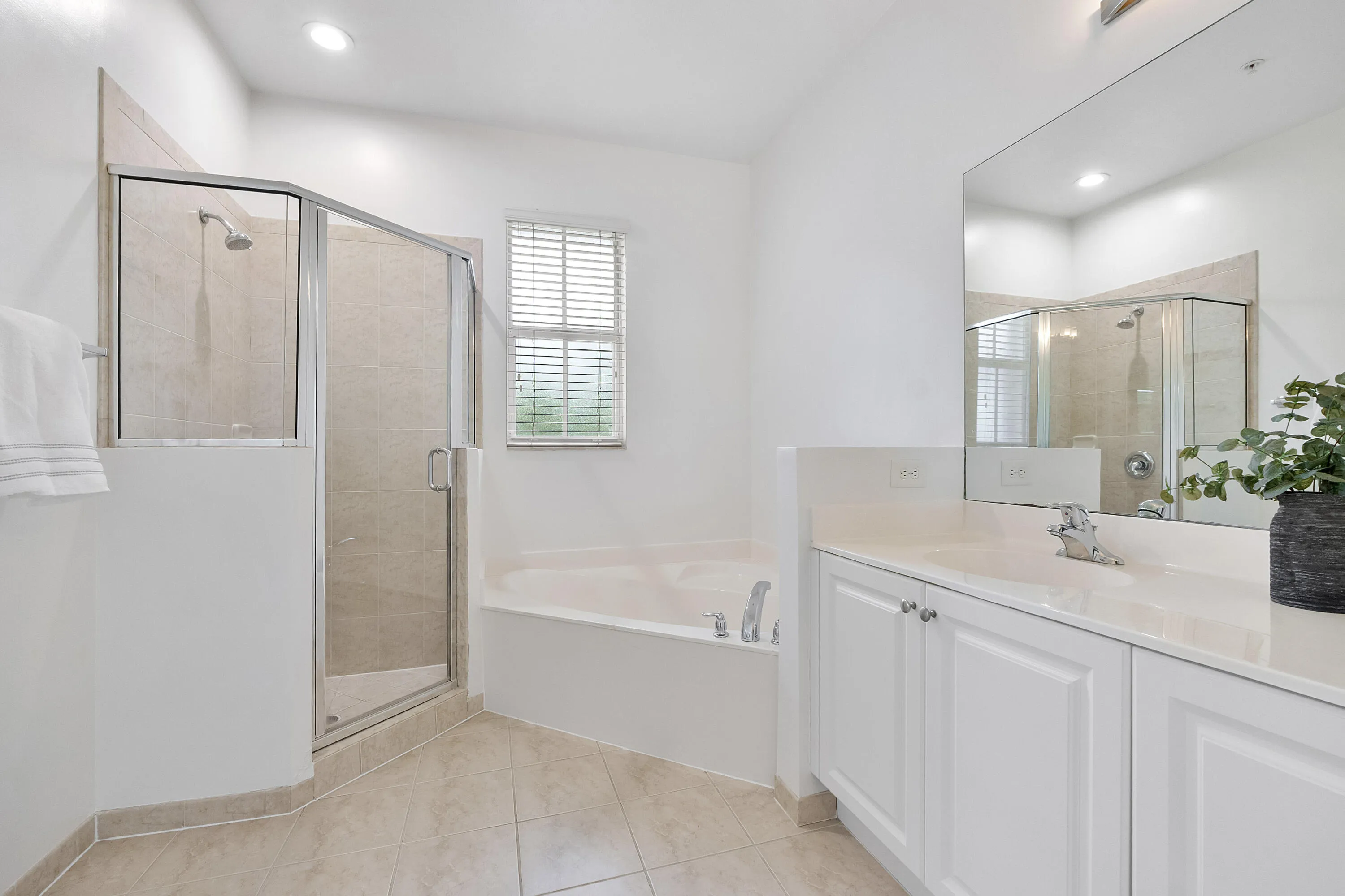Primary bathroom shower and soak tub