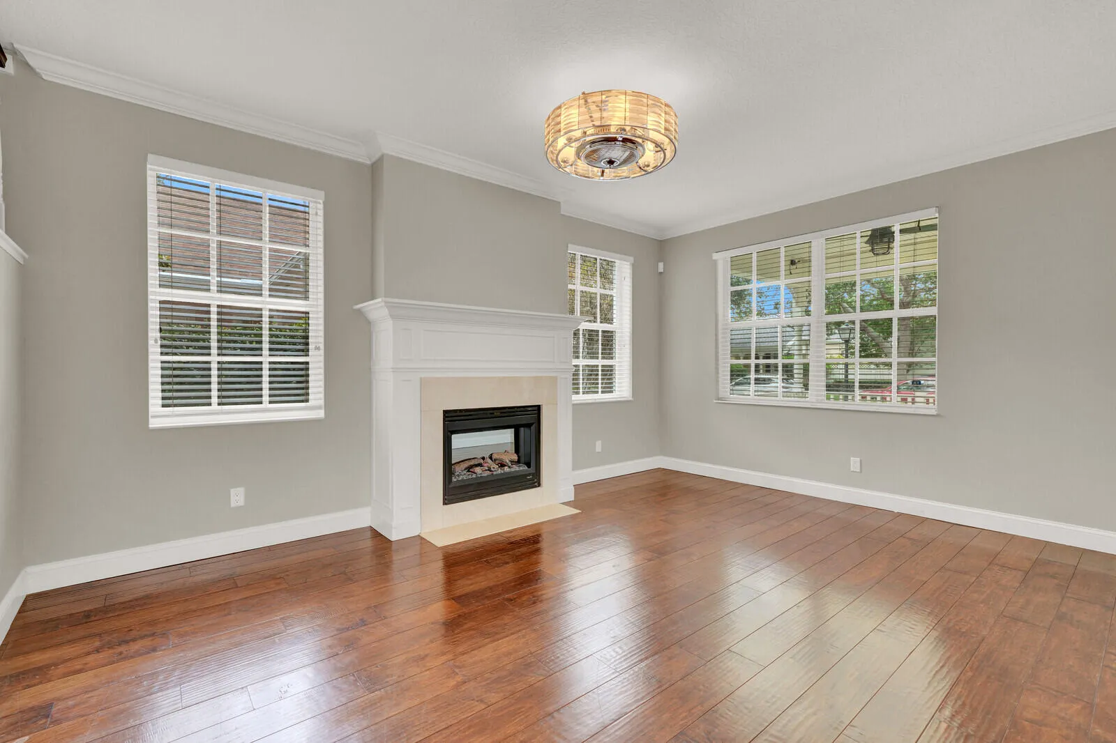 Living fireplace 221