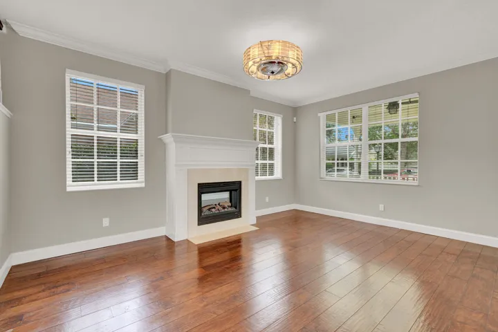 Living fireplace 221