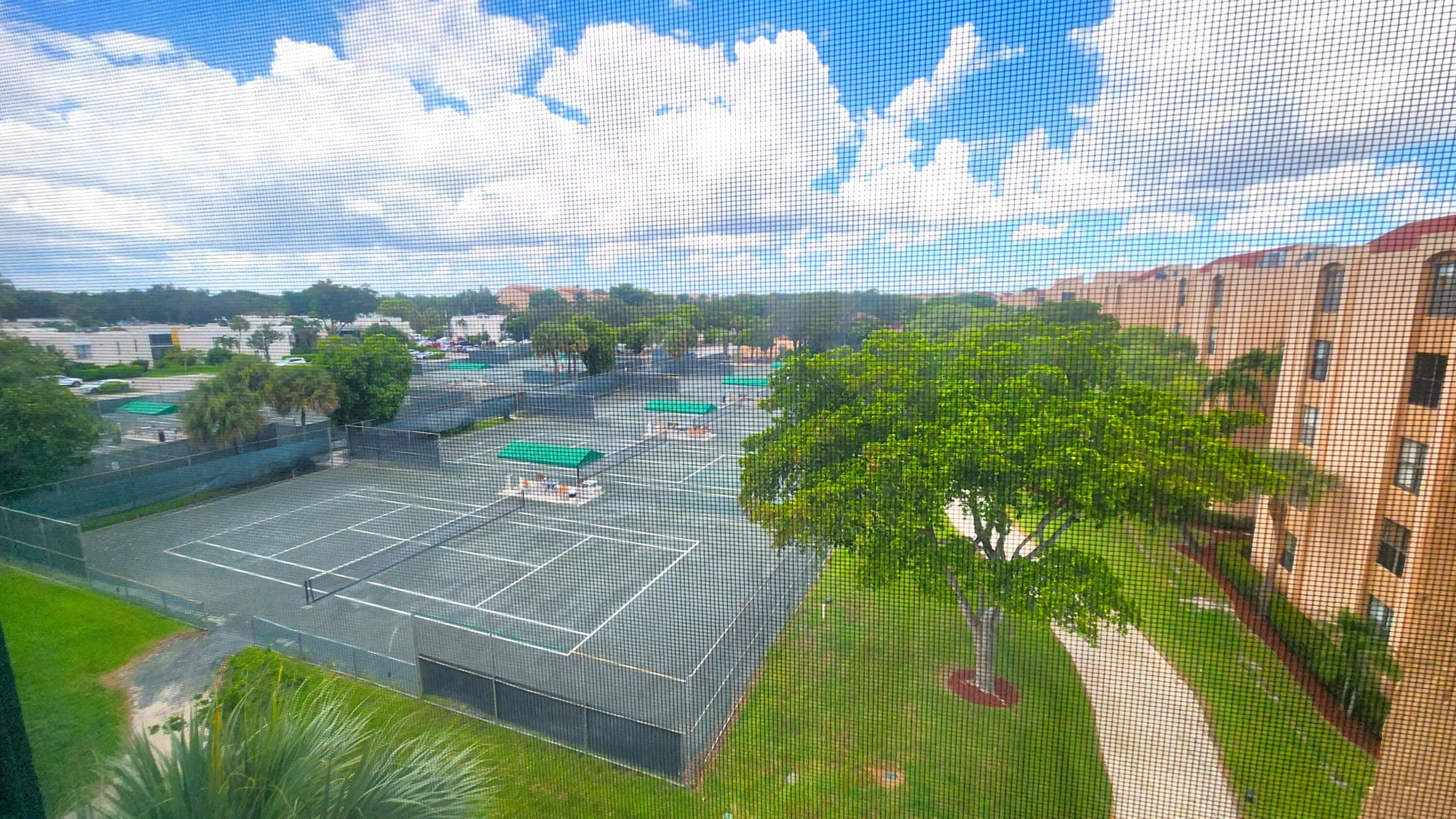 view