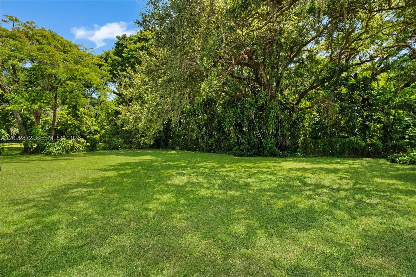 Property photo 217