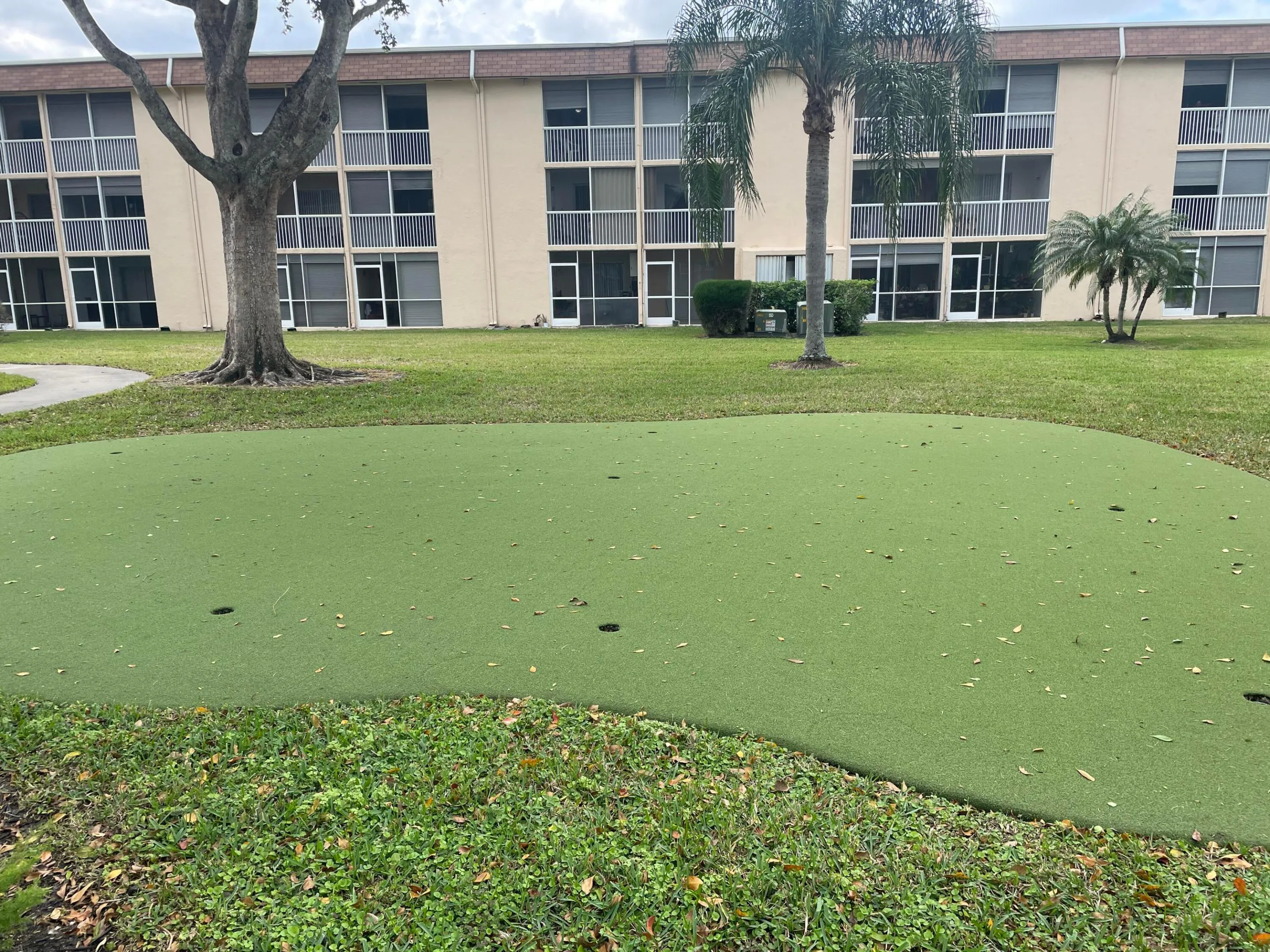 Putting area