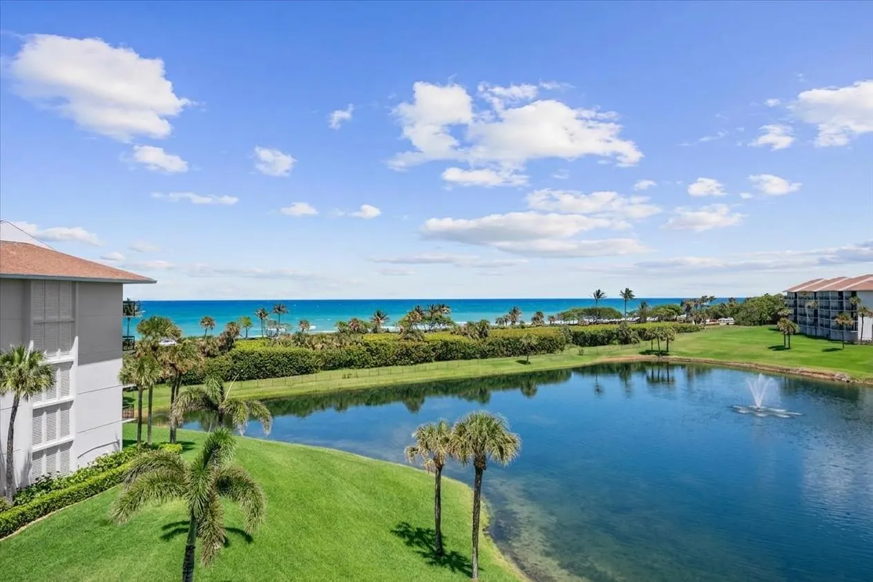 Stunning view from patio
