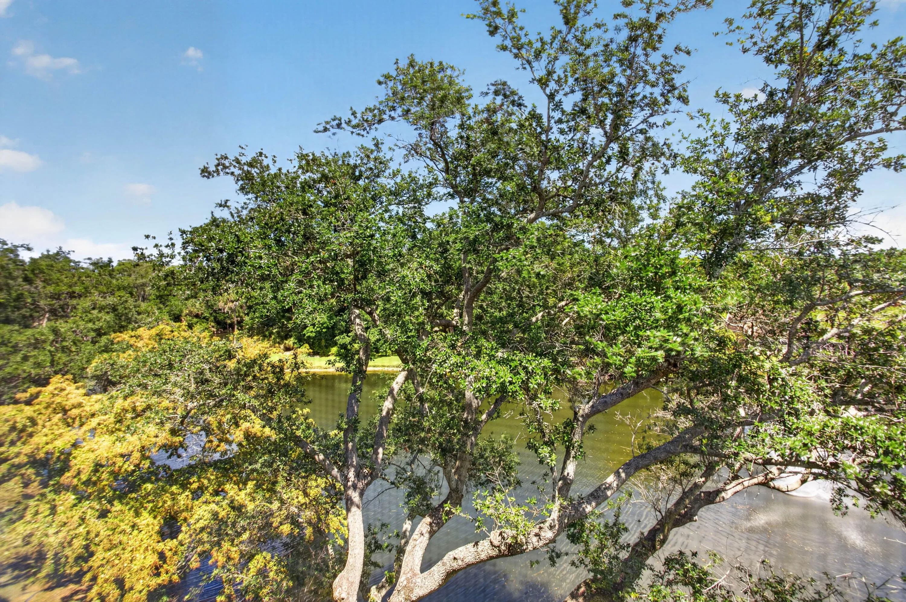 View from Balcony