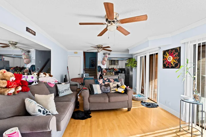 7-web-or-mls-A7406570