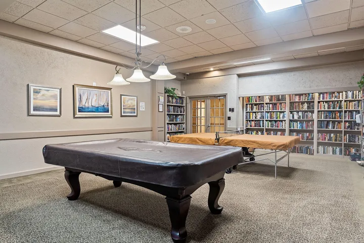Billard Room with Ping Pong and Library