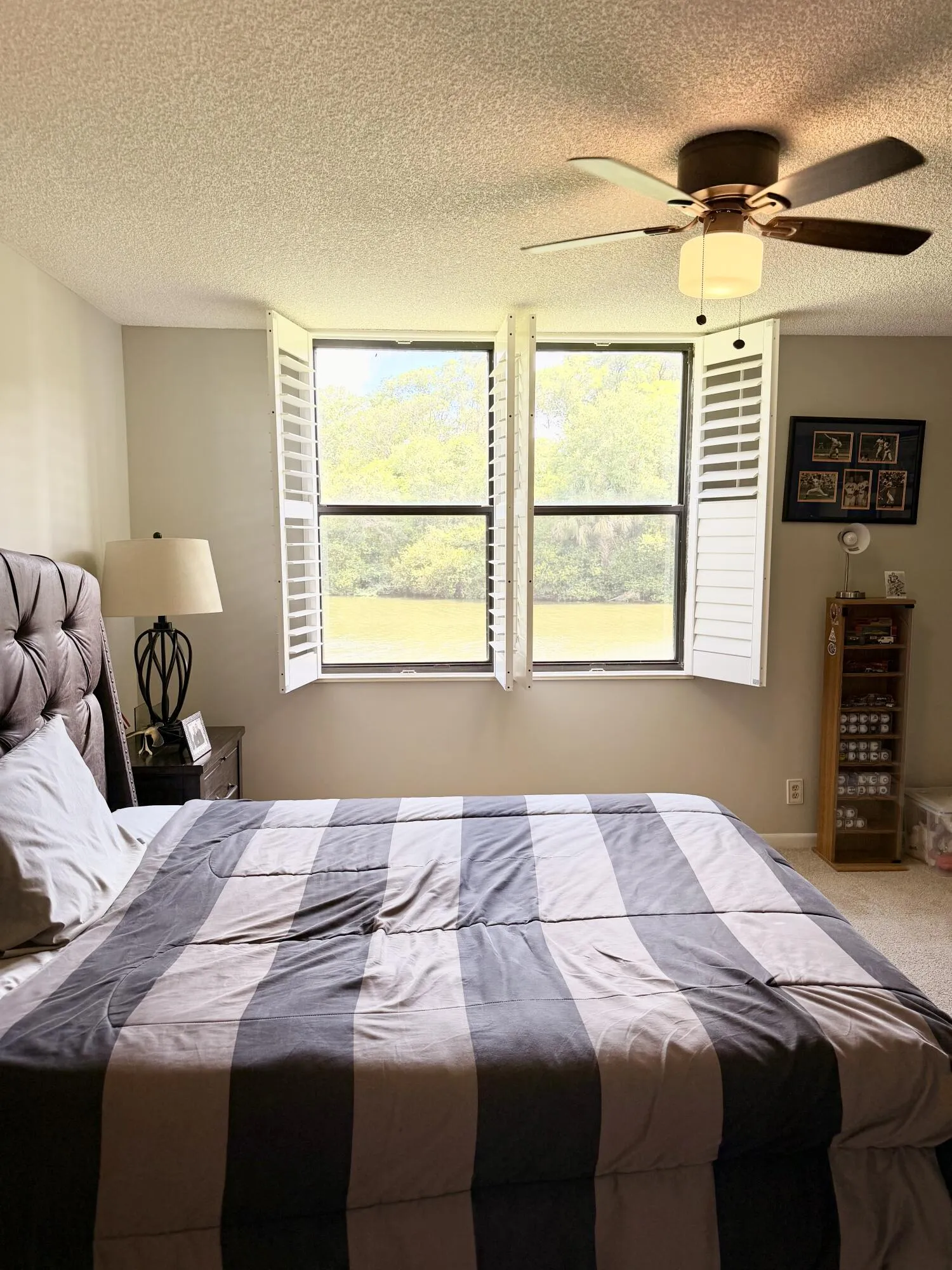 main bedroom view