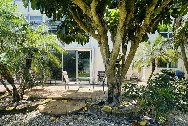 Plenty of trees and open areas in your backyard