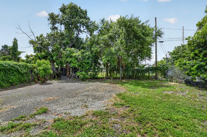 Expansive Back Yard