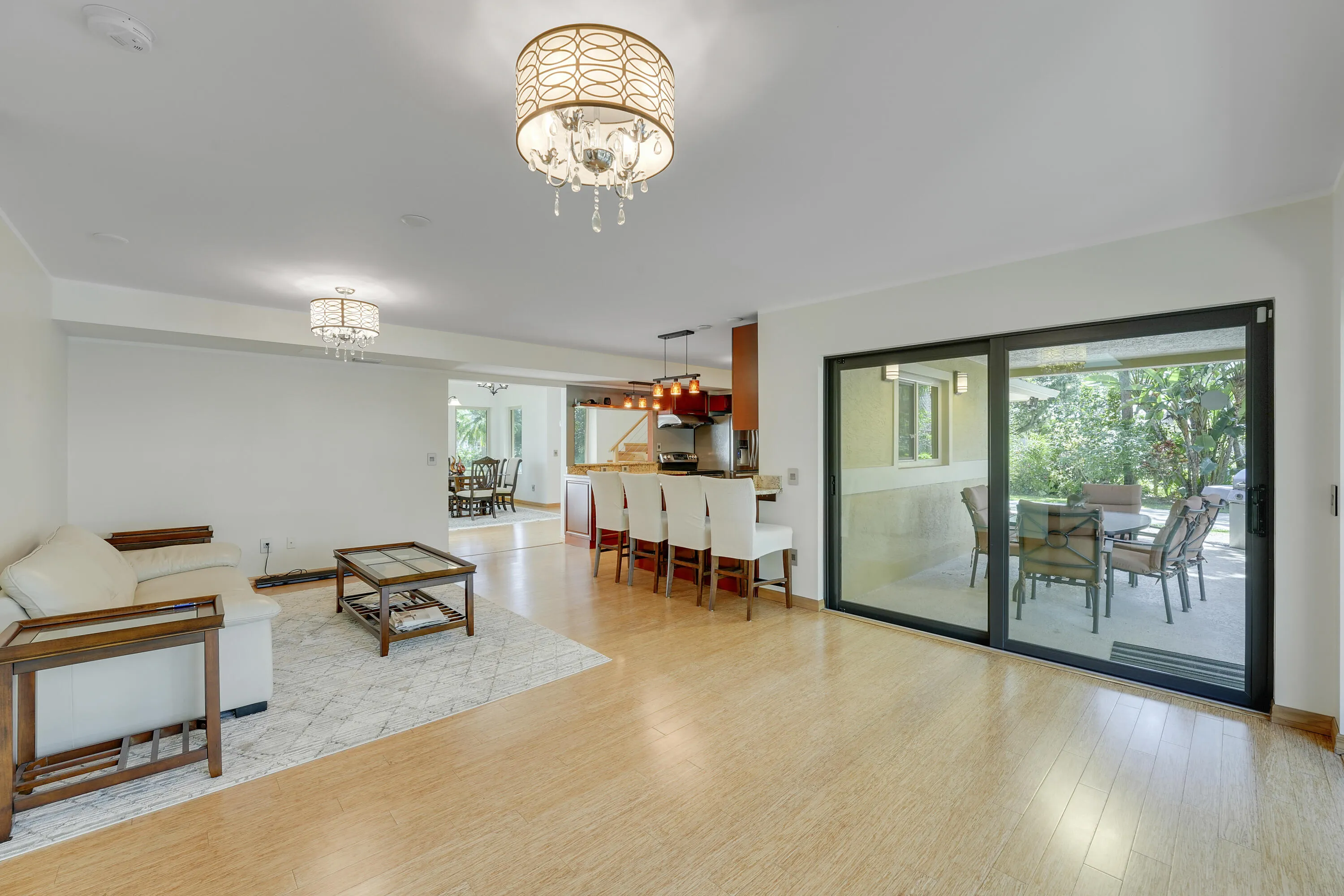 Living Room / Patio Access