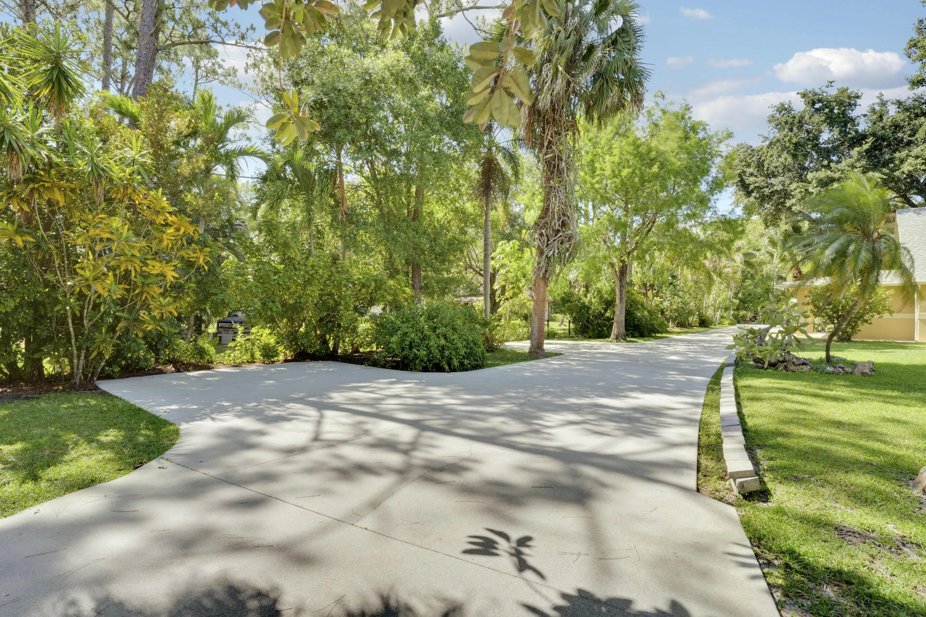 Driveway