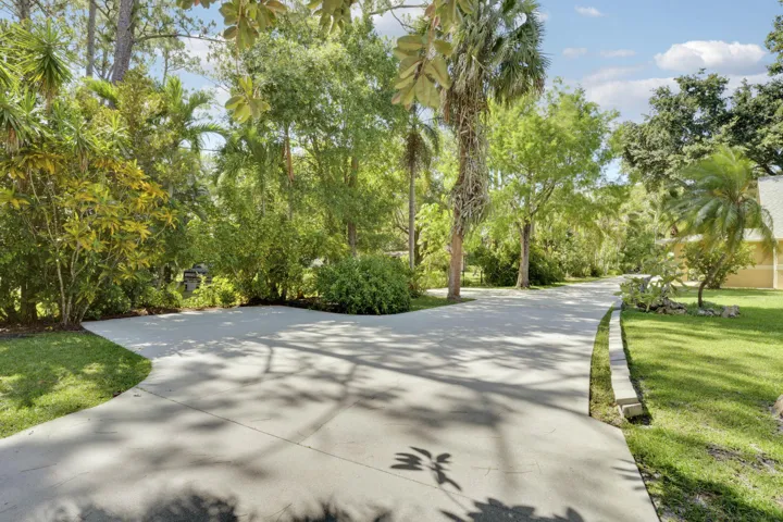Driveway