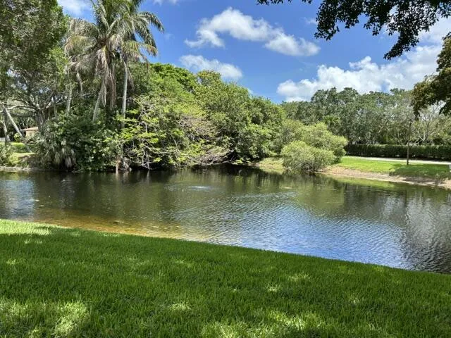 Another Lake