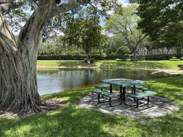 Picnic Area