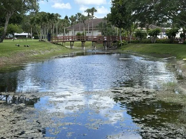 Lakes