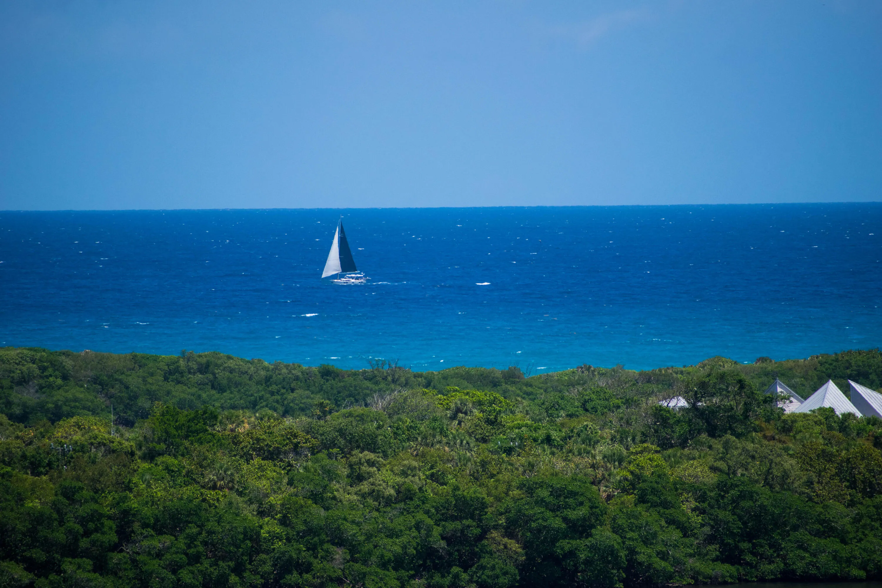 Ocean Views