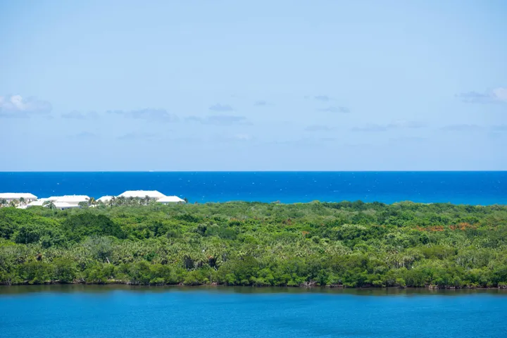 Ocean Views