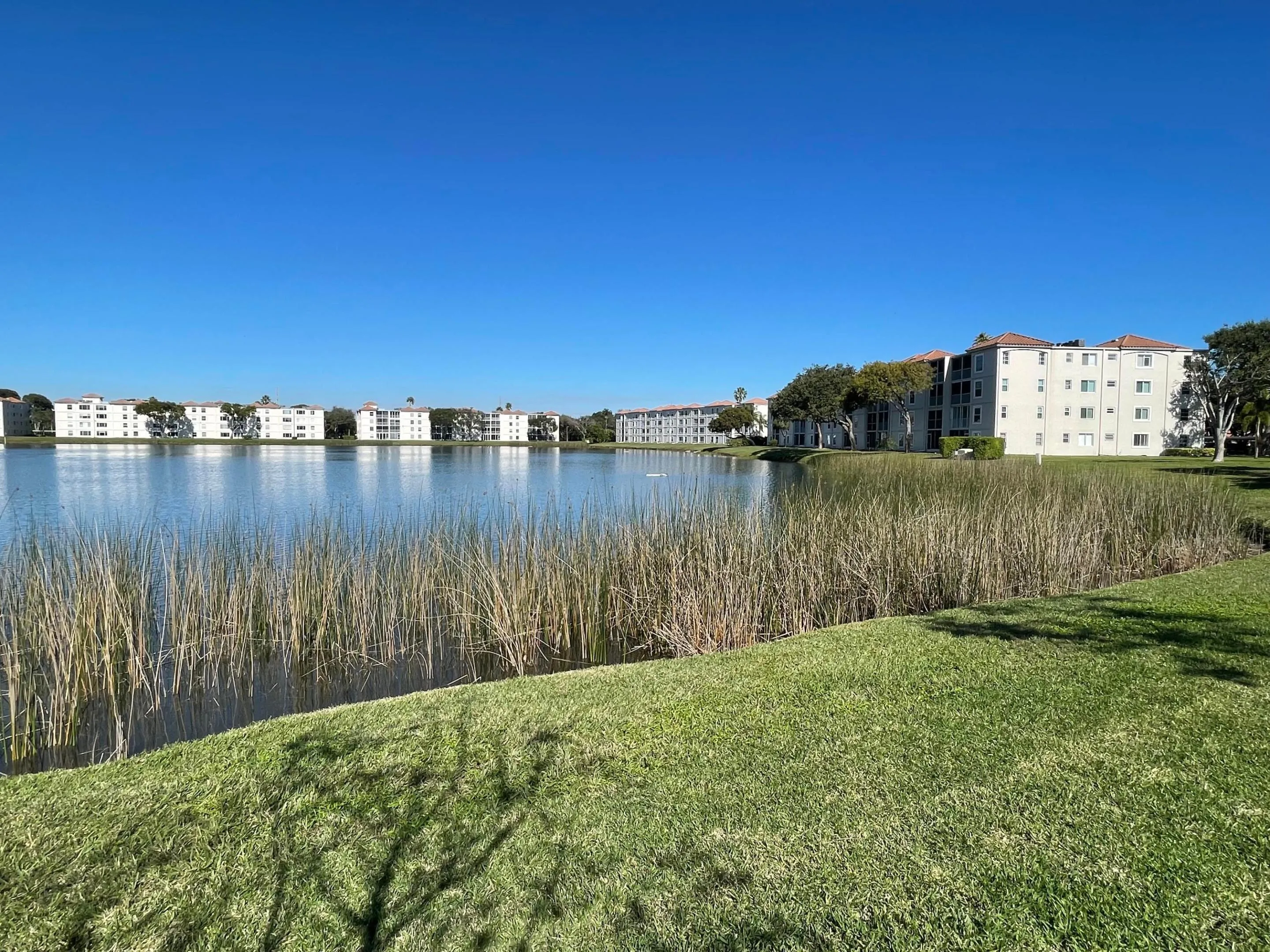 Lake showing back of building