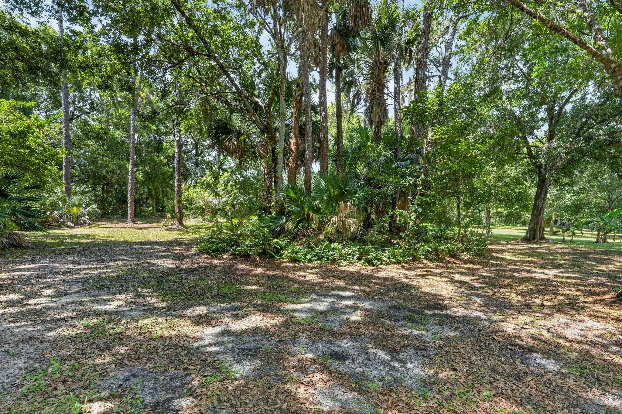 Lushly Landscapped